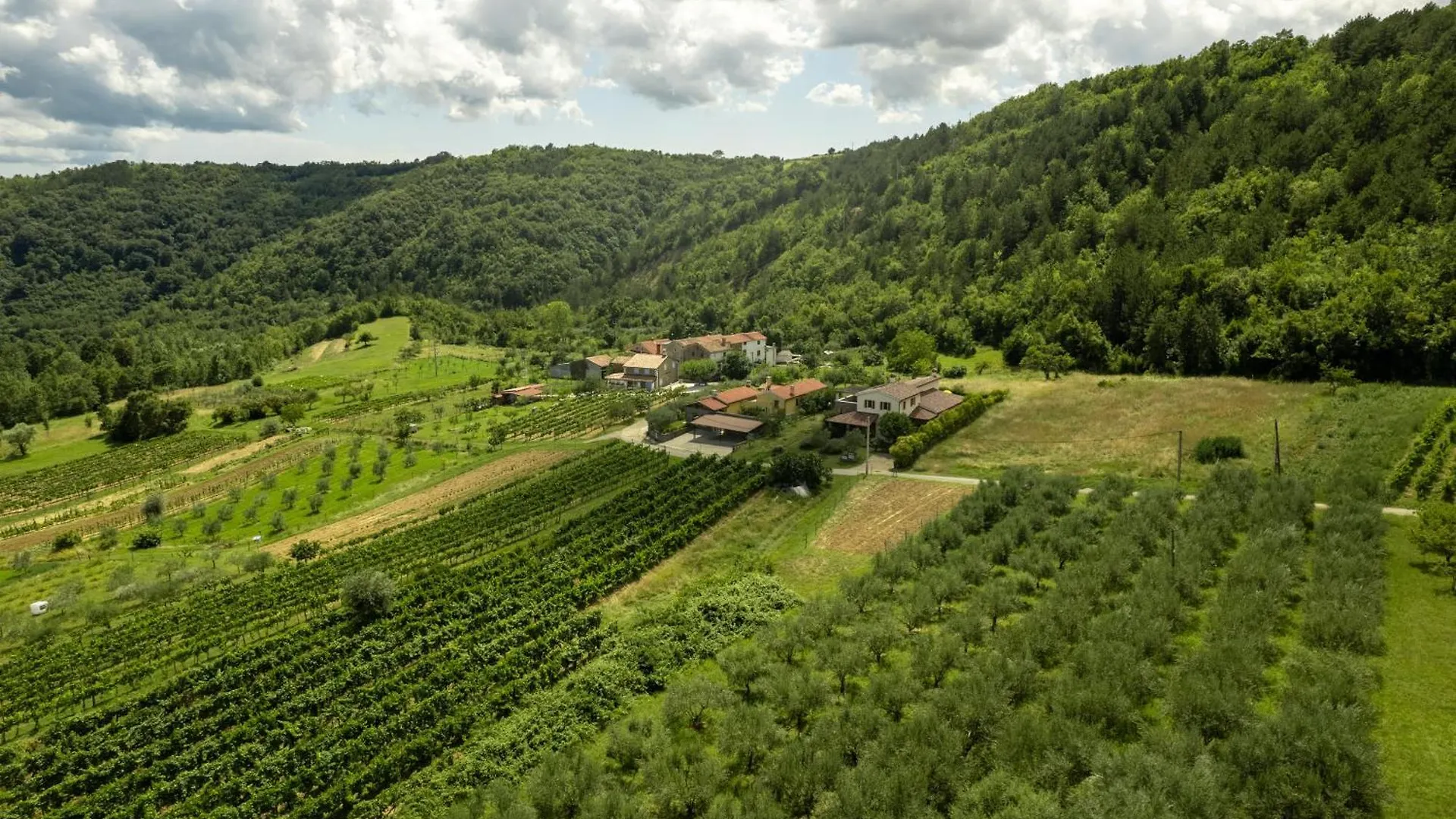 Villa Dol Buzet